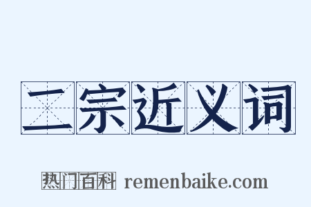 二宗近义词是什么意思的图片